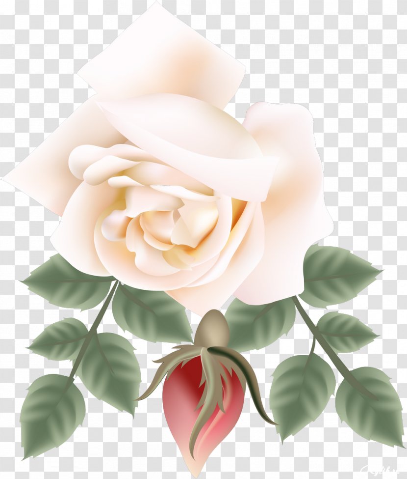 Garden Roses Flower Watercolor Painting Clip Art - Ornament - Beautiful Transparent PNG