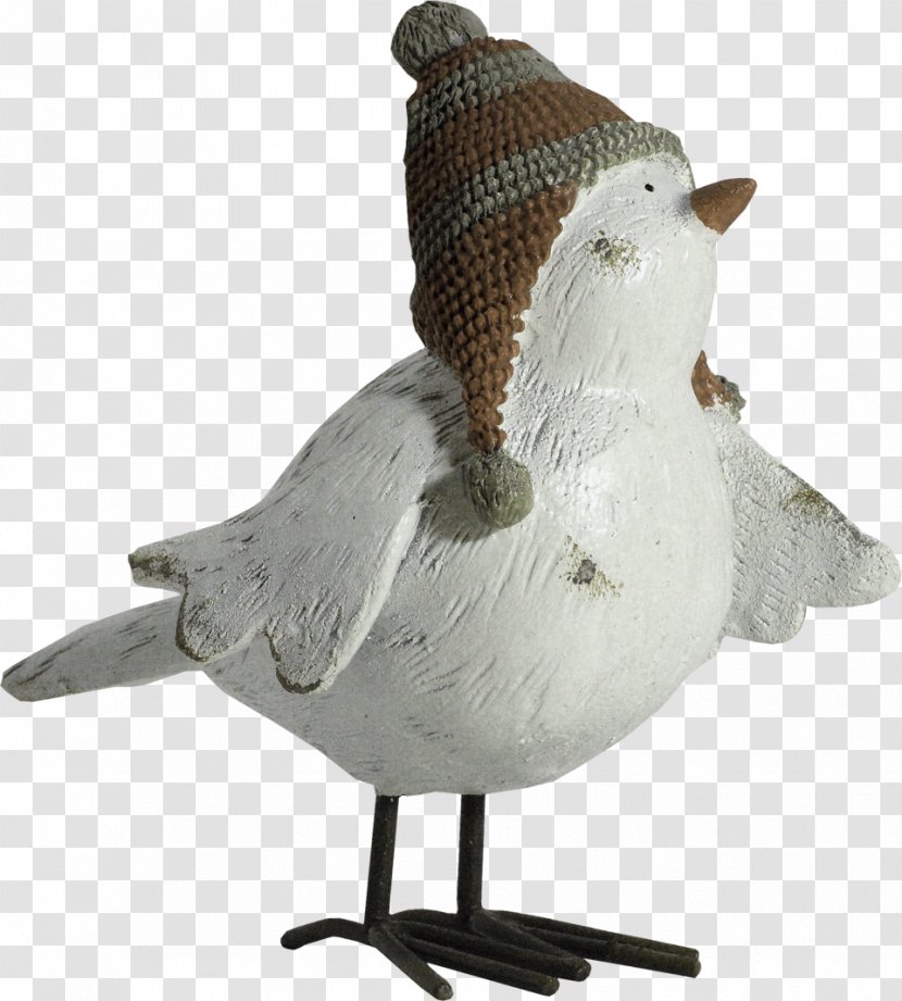 Bird Animation Shop - Ducks Geese And Swans - Hat Transparent PNG