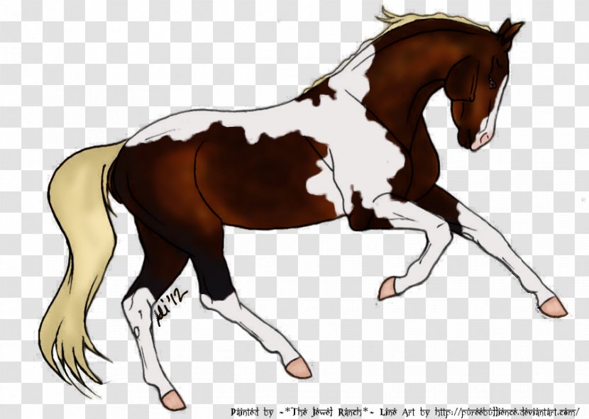 Foal Stallion Mustang Mare Colt - Neck Transparent PNG