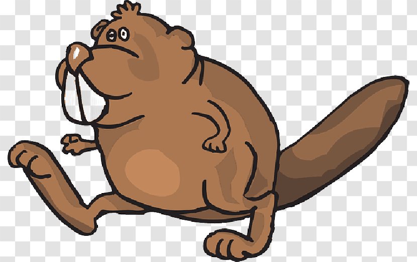 Beaver Cartoon - Animation Tail Transparent PNG