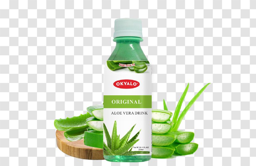 Juice Aloe Vera Fizzy Drinks Coconut Water - Herbal Transparent PNG