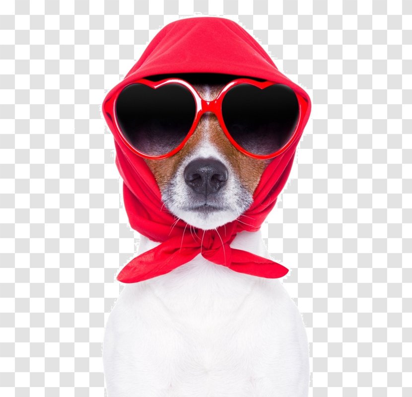 Stock Photography Dog Royalty-free Seam - Gift Transparent PNG