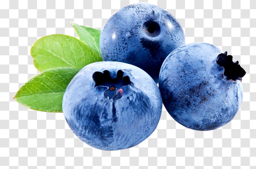 Blueberry Skin Care Hyaluronic Acid Eye - Moisturizer - Fruit Transparent PNG