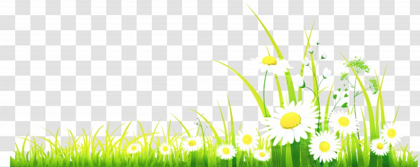 Clip Art Free Content Spring Image - Green - Stock Photography Transparent PNG