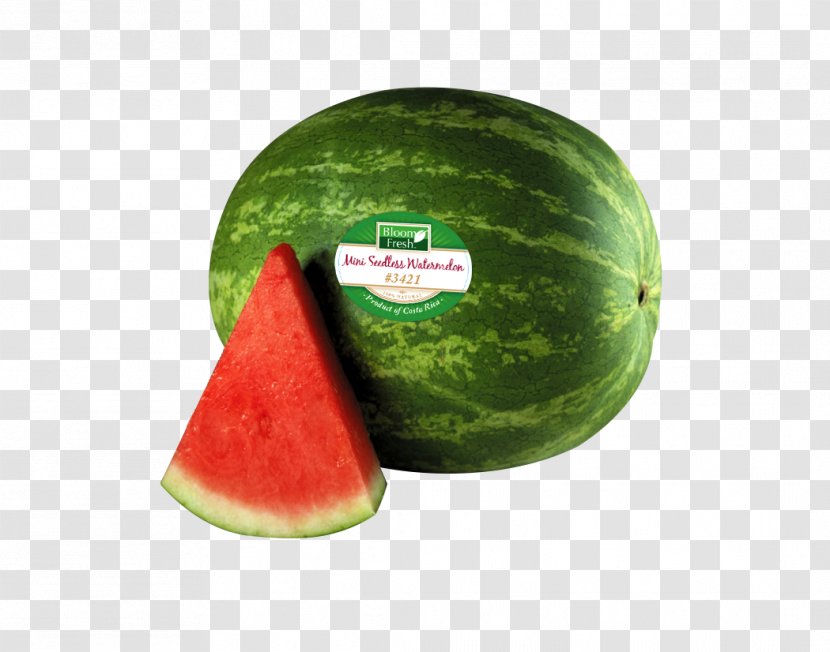 Watermelon Fruit Food - Cucumber Gourd And Melon Family Transparent PNG