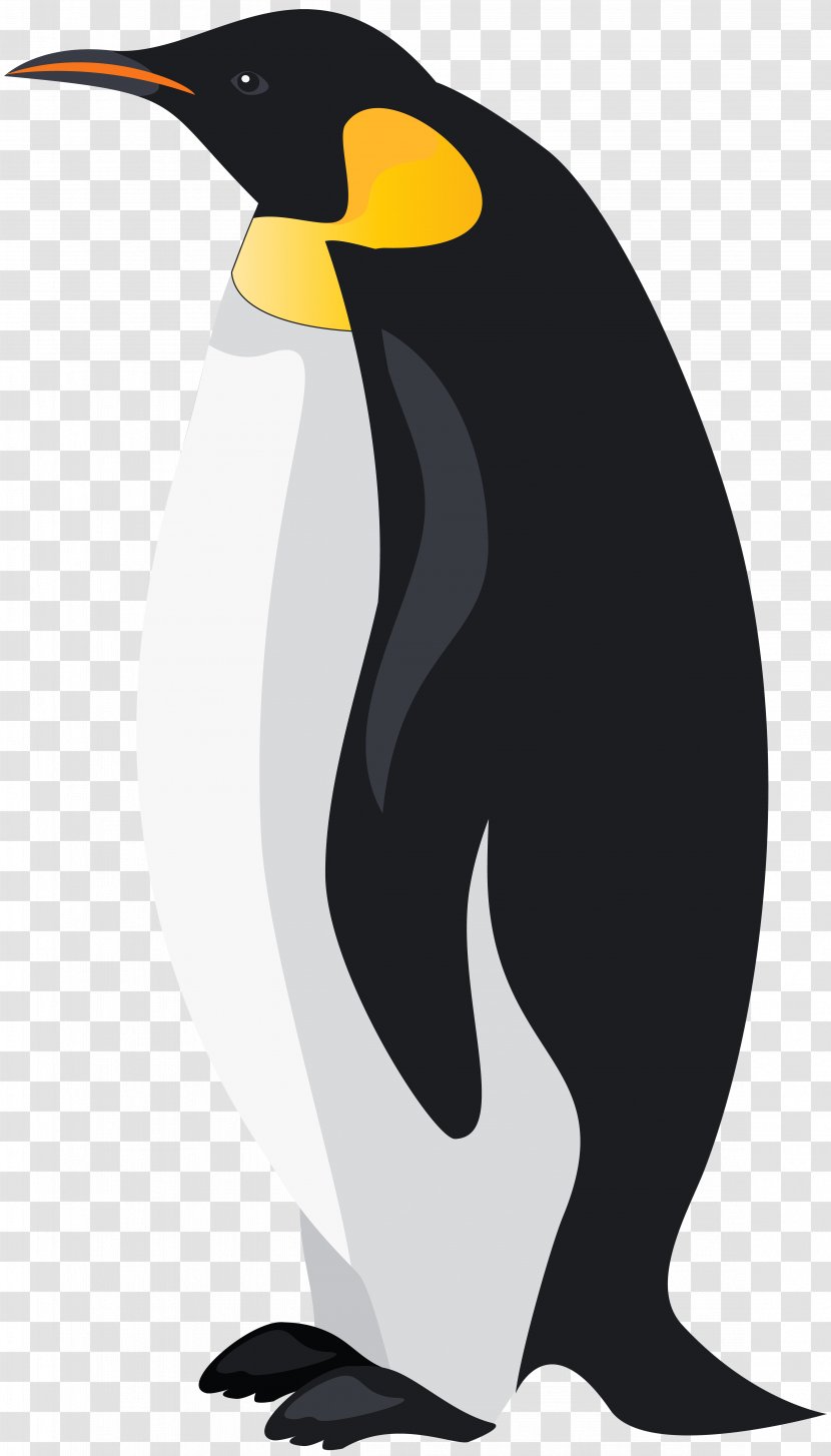 King Penguin Bird Emperor Clip Art - Beak - Penguins Transparent PNG