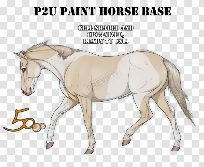 American Paint Horse Mustang Mane Pony Foal Transparent PNG