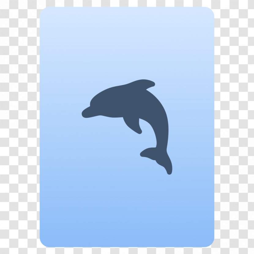 Common Bottlenose Dolphin Fauna - Whales Dolphins And Porpoises Transparent PNG