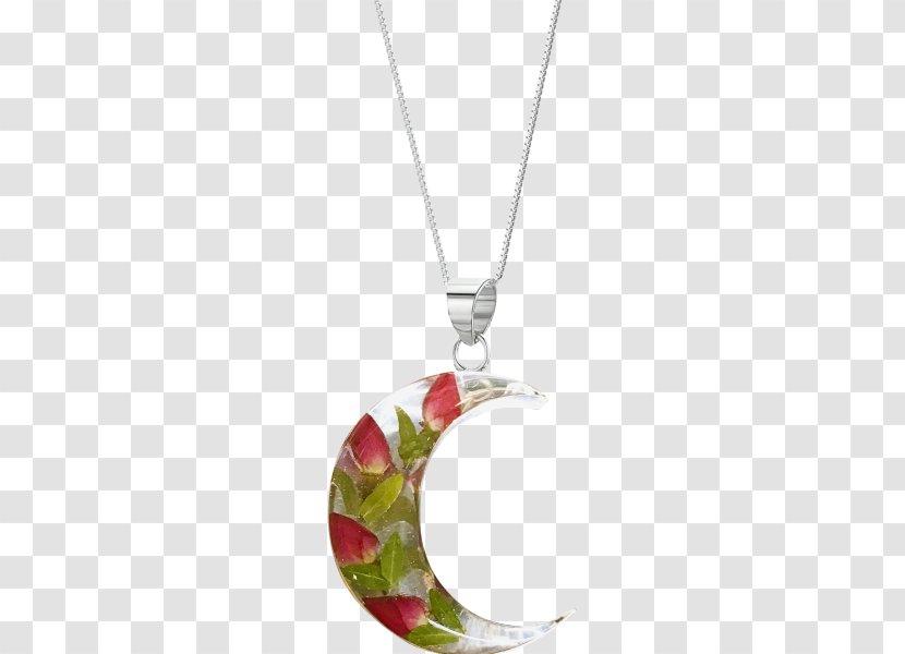 Locket Jewellery Necklace Silver Charms & Pendants - Moon Transparent PNG