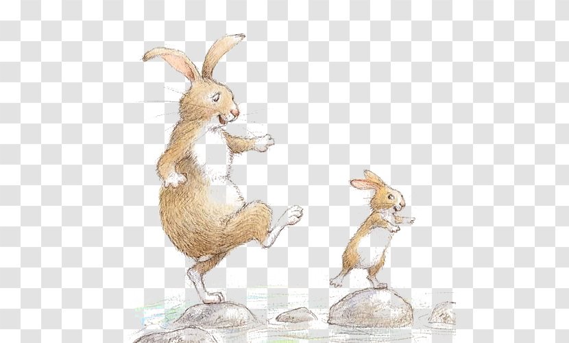 Drawing Rabbit Illustrator Childrens Literature Illustration - Maurice Sendak - Cute Bunny Transparent PNG