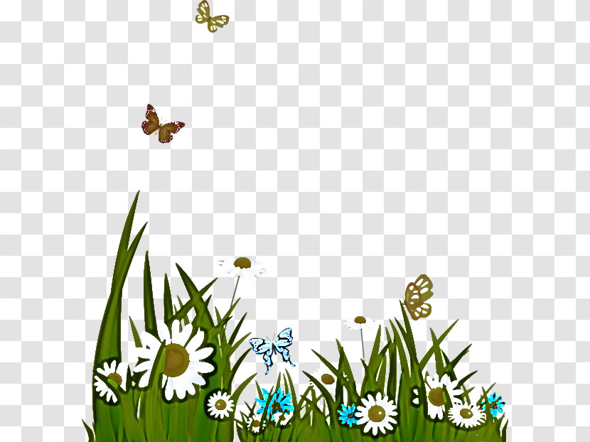 Flower Grasses Plant Stem Honey Bee Leaf Transparent PNG
