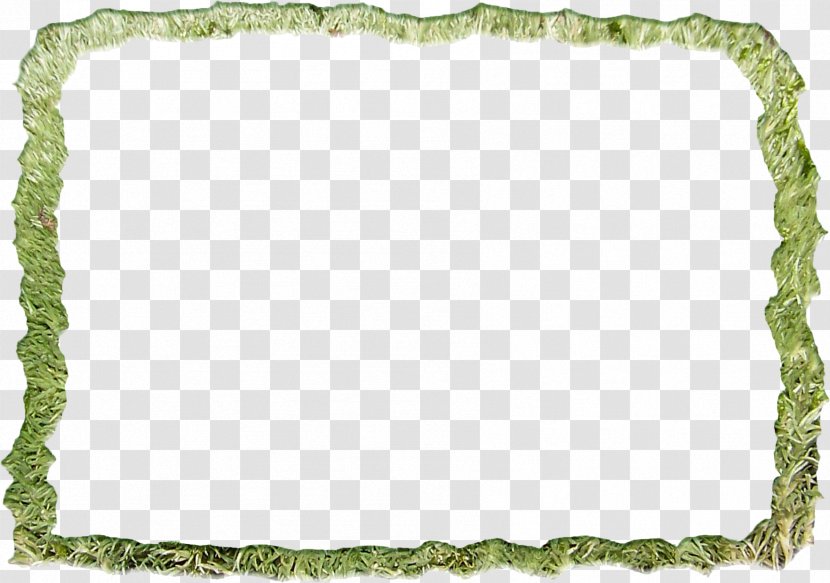 Picture Frame Green - Grass Photo Transparent PNG