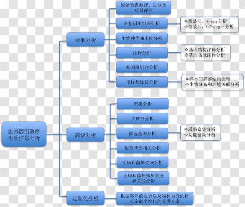 Dermatology 16S Ribosomal RNA Chang Gung Clinic 18S DNA - Organization - System Transparent PNG