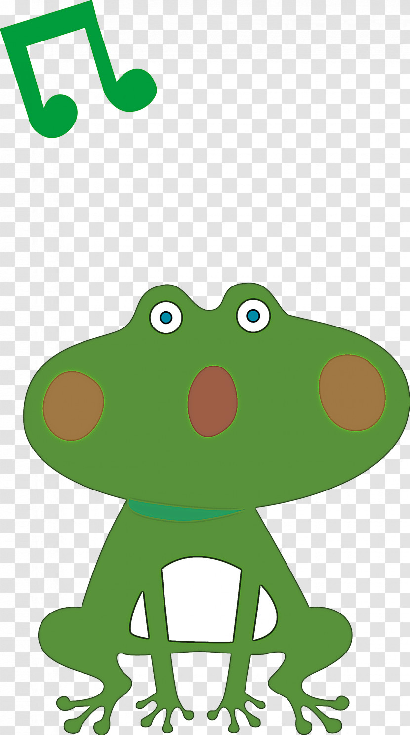 True Frog Toad Frogs Tree Frog Cartoon Transparent PNG