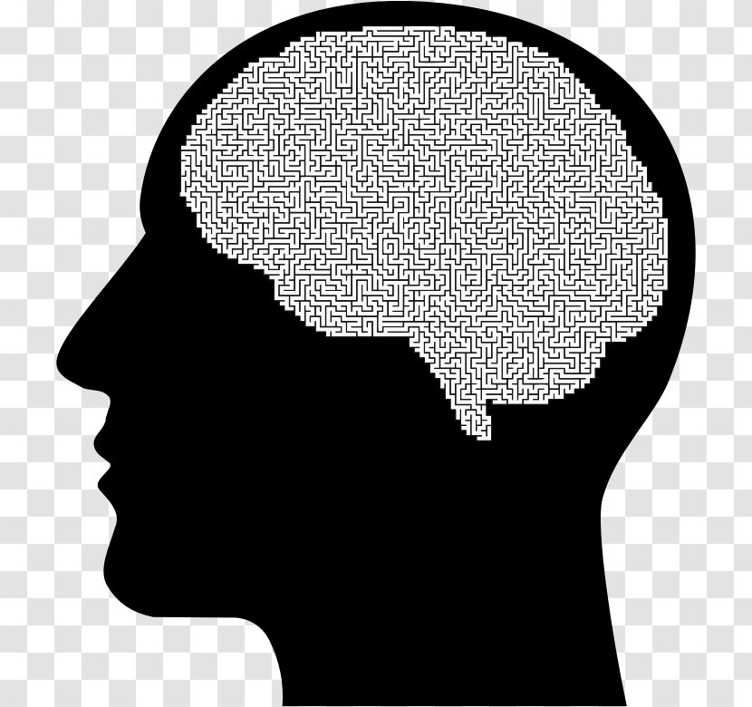 The Female Brain Human Head Transparent PNG