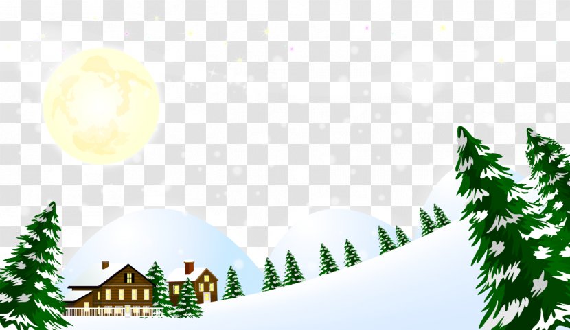 Winter Download - Pine Family - Vector Beautiful Snow Transparent PNG