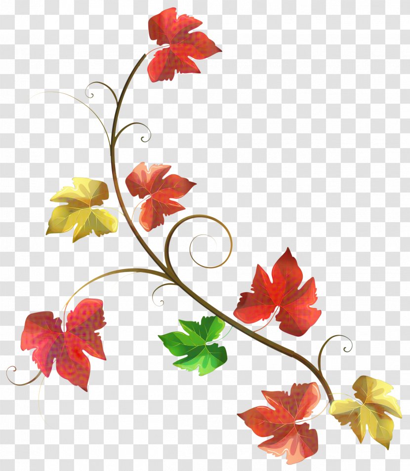 Flowers Background - Leaf - Pedicel Plant Transparent PNG