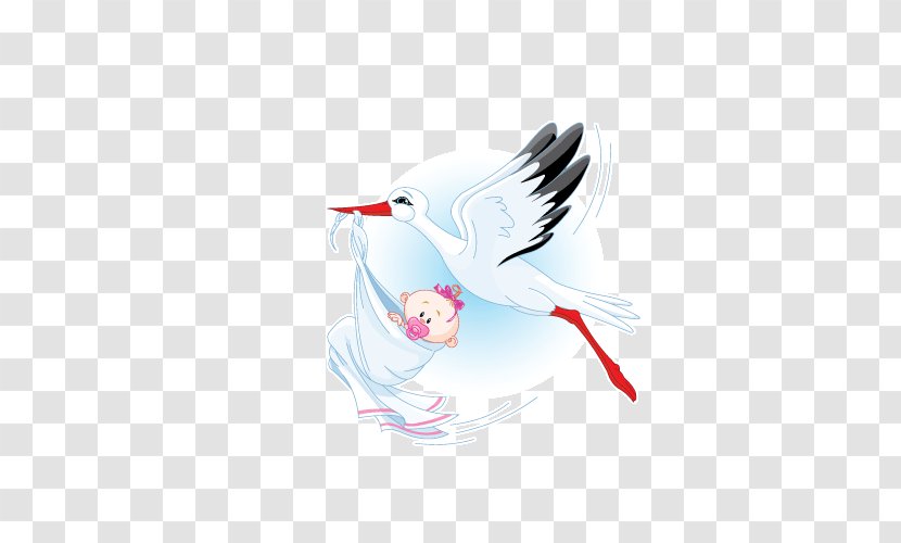 Infant White Stork Childbirth Baby Shower - Ciconiiformes Transparent PNG