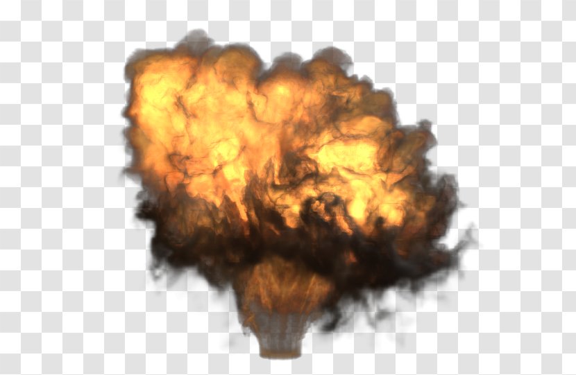 Fire Flame Explosion - Flower Transparent PNG