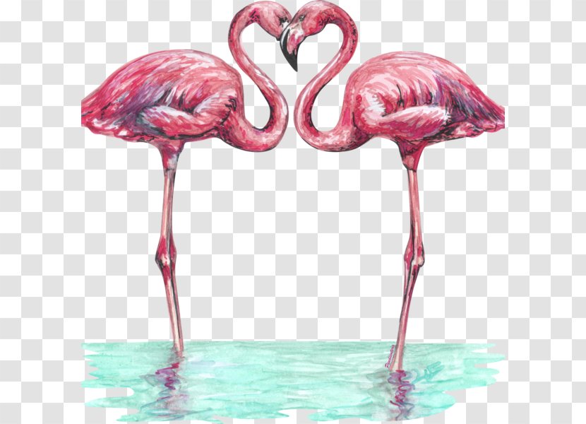T-shirt Love Greater Flamingo Flamenco - Beak Transparent PNG