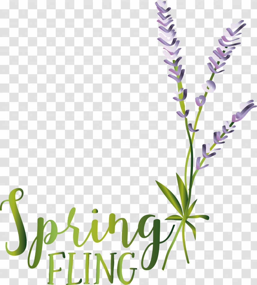 Lavender Transparent PNG