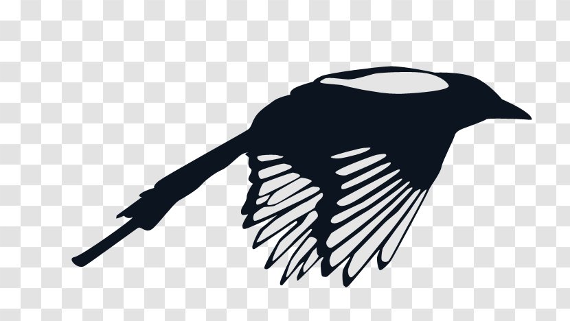 Bird Magpie - Logo Transparent PNG