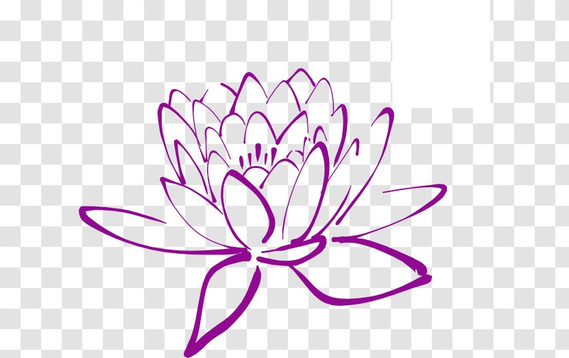 Egyptian Lotus Nelumbo Nucifera Clip Art - Magenta - Magnolia Transparent PNG
