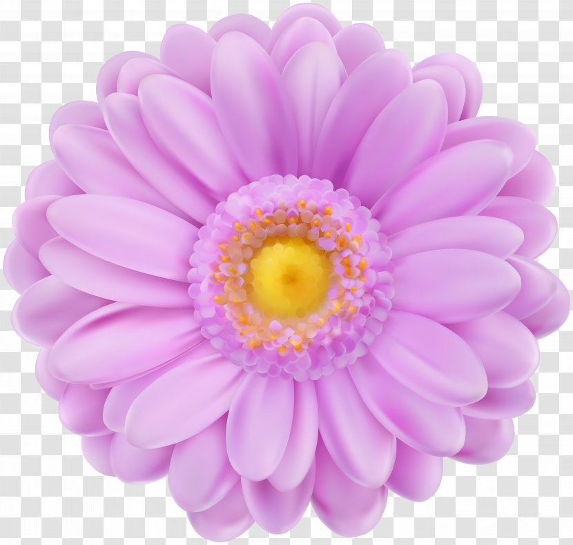 Purple Flower - Flowering Plant - Soft Transparent Clip Art Transparent PNG