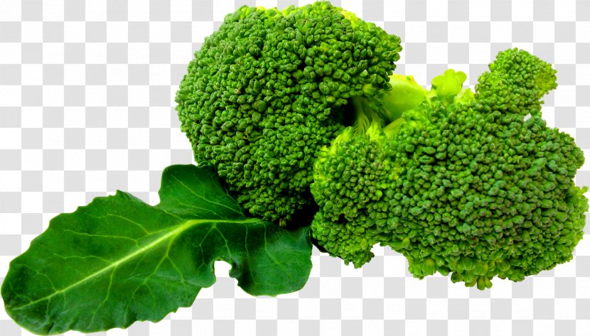 Broccoli Slaw Leaf Vegetable - Herb Transparent PNG