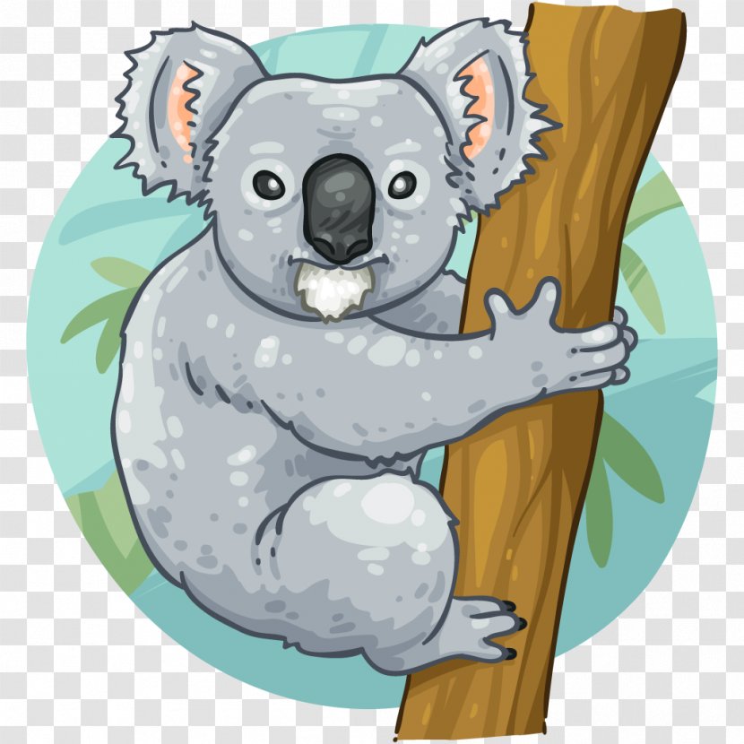 Koala Vertebrate Marsupial Mammal Animal - Carnivora Transparent PNG