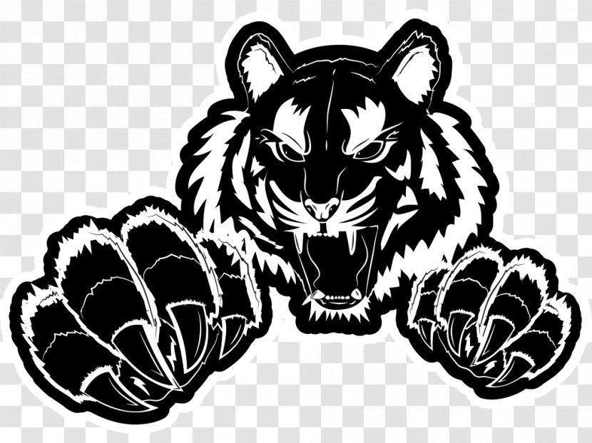 Tiger Whiskers Lion Cat Drawing - Carnivoran Transparent PNG