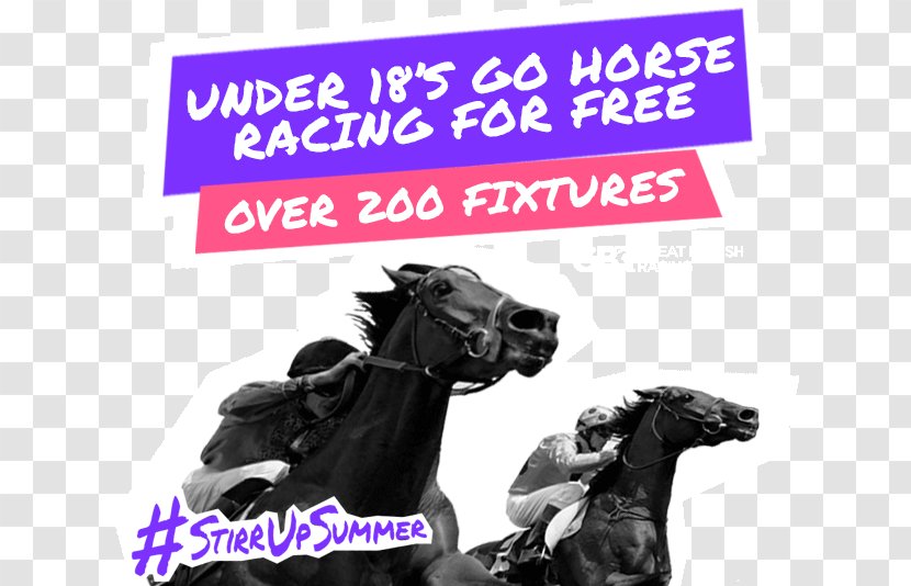 Mustang Ascot Racecourse Pig Horse Tack Advertising Transparent PNG