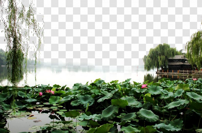 Daming Lake Landscape Fukei - Search Engine - Scenery Pictures Transparent PNG