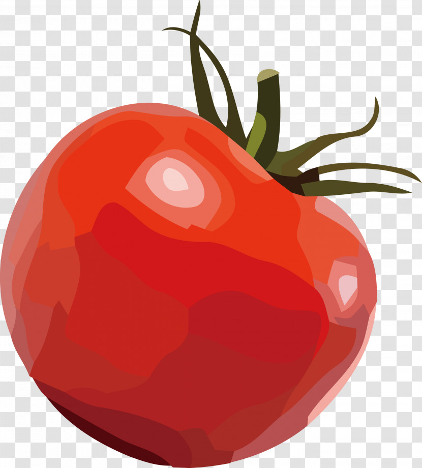 Tomato Transparent PNG