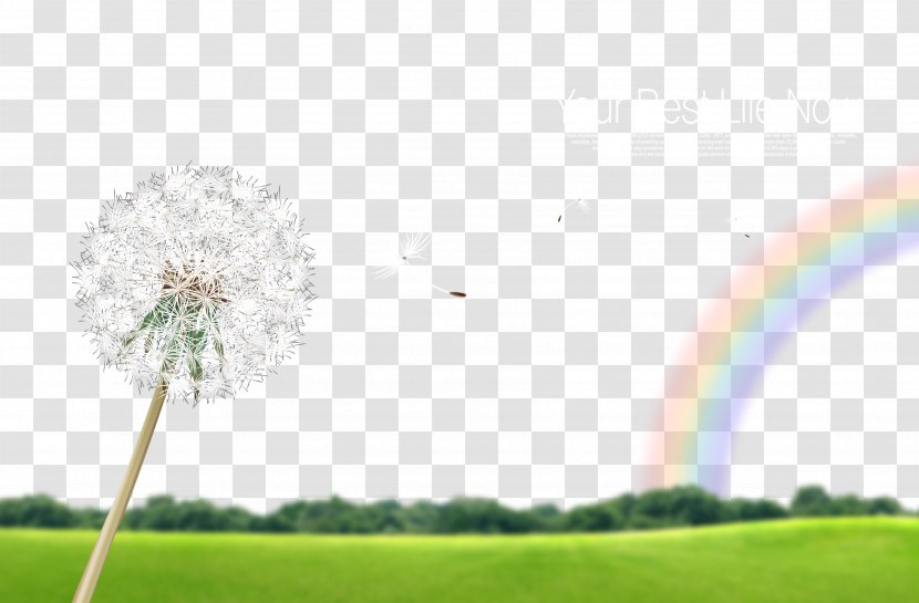 Greenland Rainbow Download - Golf Ball Transparent PNG