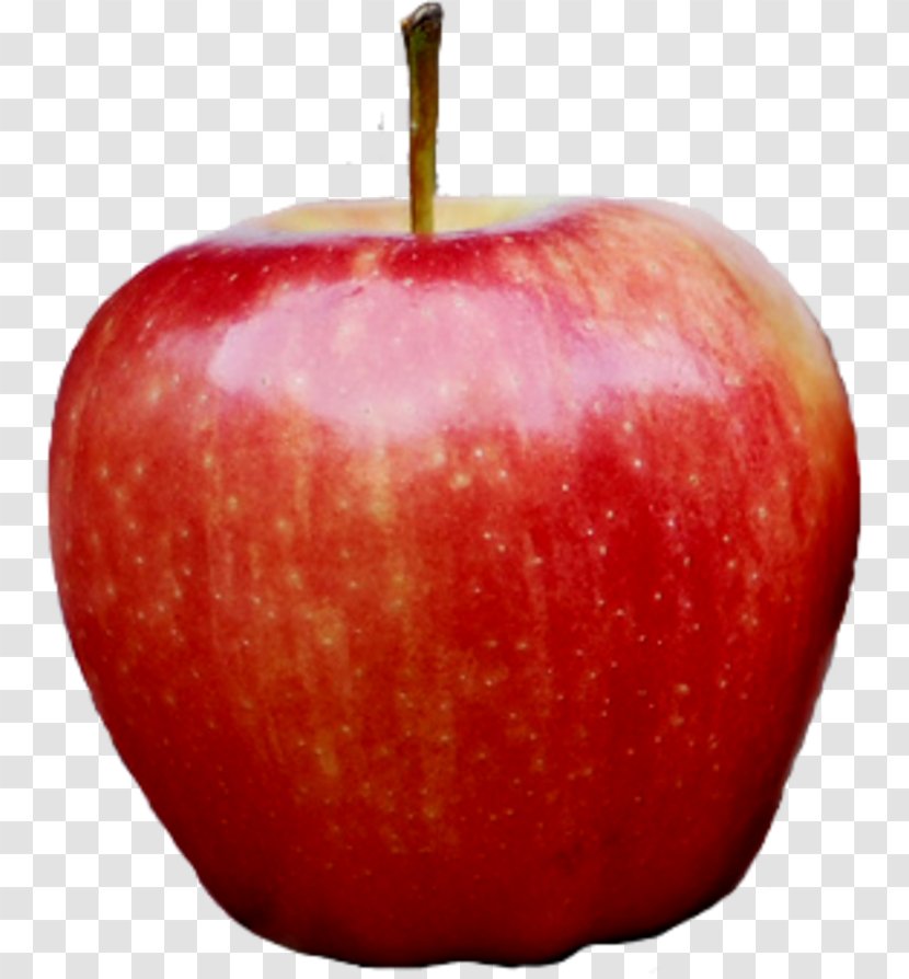 Apple Clip Art Transparent PNG