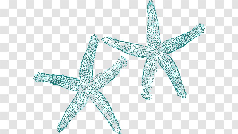 Starfish Turquoise Clip Art - Invertebrate Transparent PNG