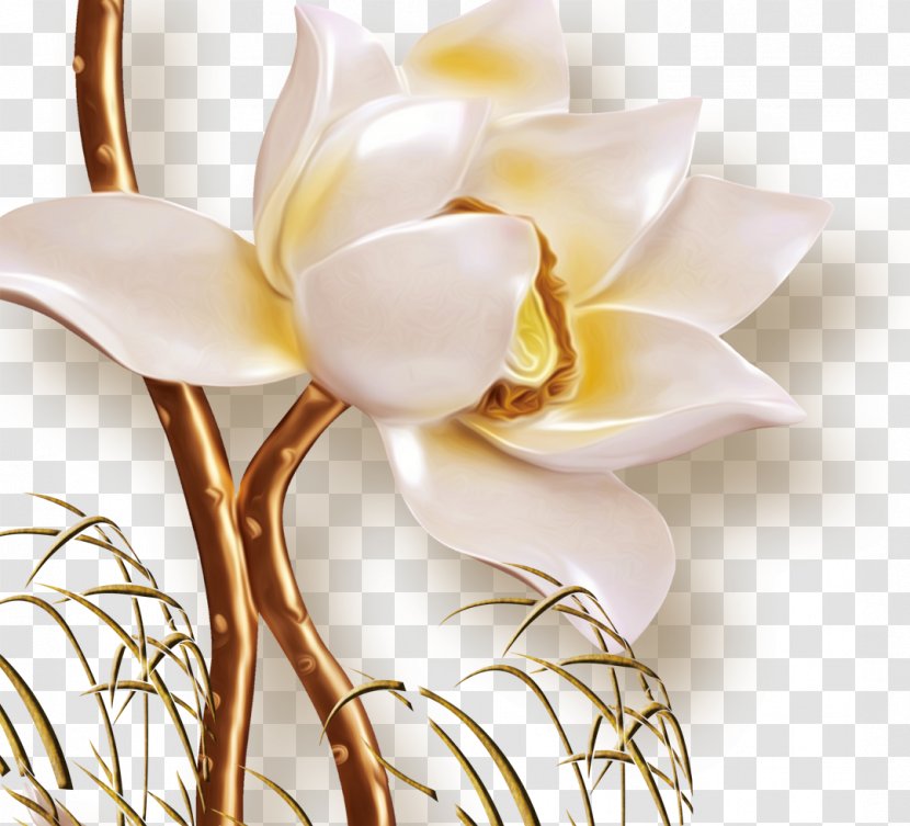 Flower Floral Design - Diphtheria Lotus Transparent PNG