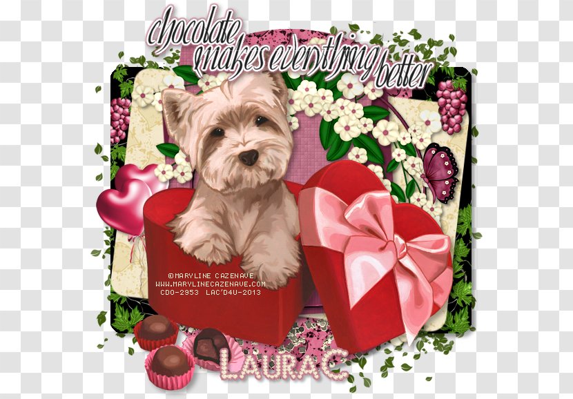Yorkshire Terrier Morkie Puppy Dog Breed Companion - Cotton Transparent PNG