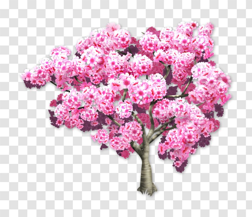 Pink Trumpet Tree Tabebuia Branch Wisteria - Sakura Transparent PNG