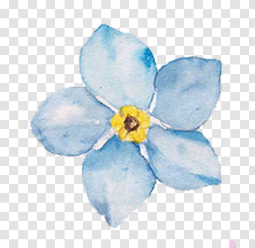 Watercolor Painting Common Hibiscus Blue Flower - Flowers Transparent PNG