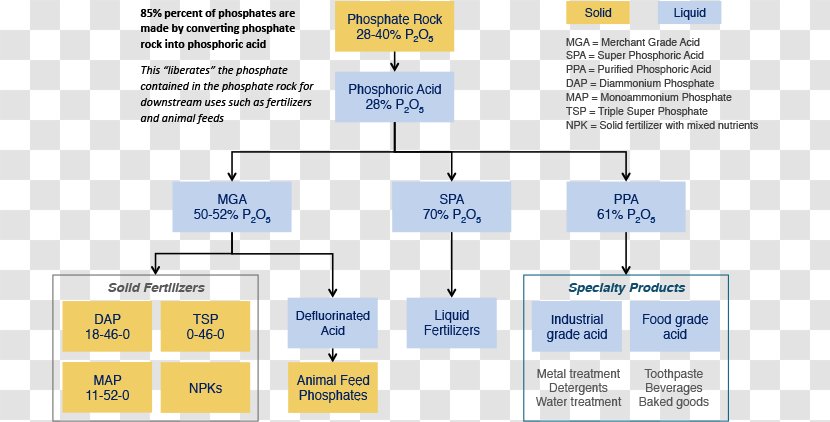 Phosphoric Acid Phosphate Phosphorite - Number - Organization Transparent PNG