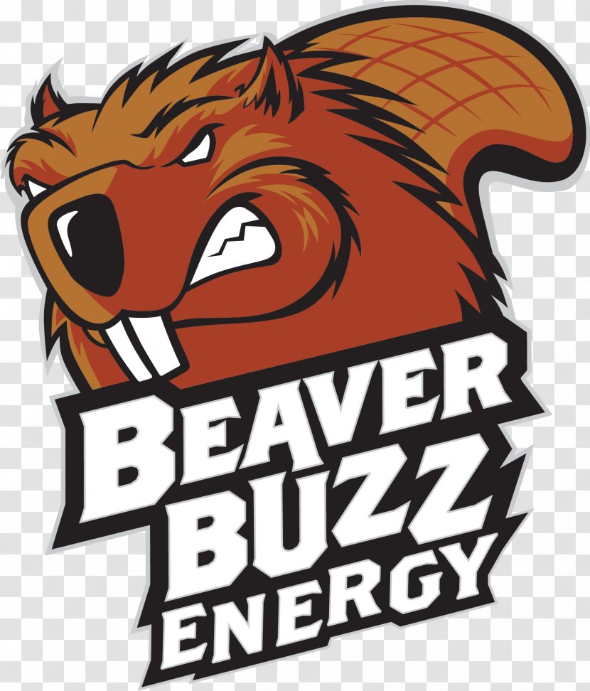 Beaver Buzz Energy Drink Fizzy Drinks Root Beer - Text Transparent PNG