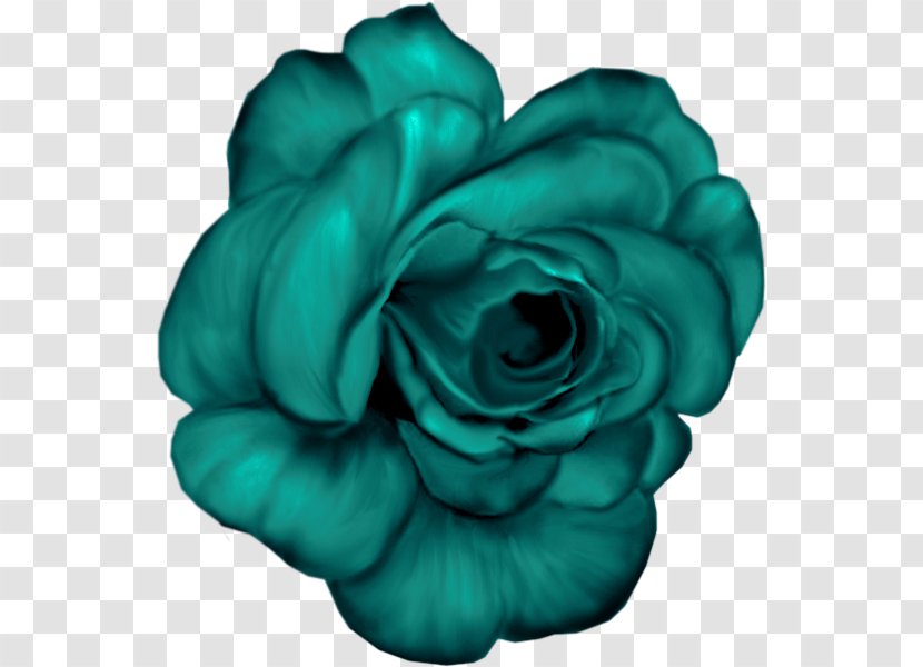 Garden Roses Flower Blue Clip Art - Yellow Transparent PNG