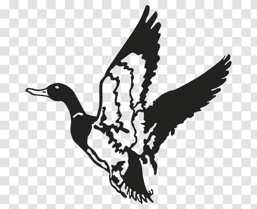 Duck Mallard Decal Waterfowl Hunting Transparent PNG