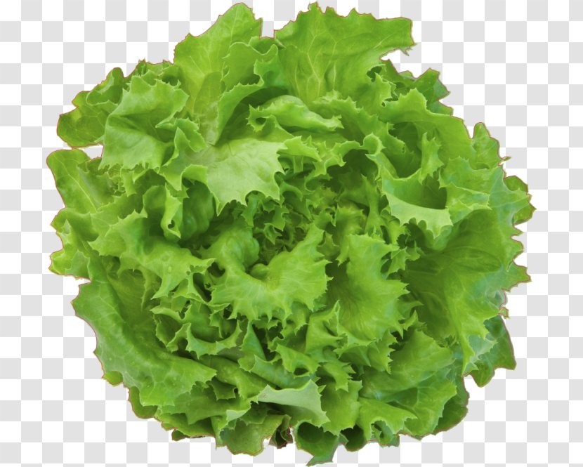 Salad Iceberg Lettuce Leaf Vegetable - Health Transparent PNG