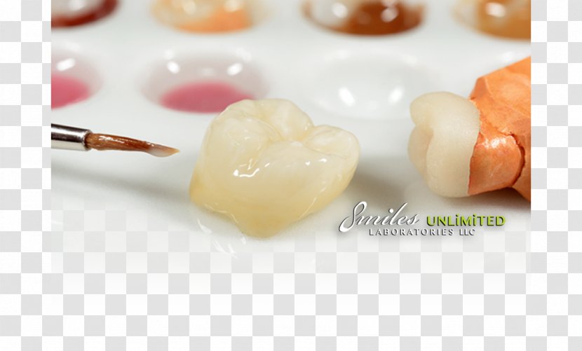 Crown Dentistry Dental Laboratory Technician Transparent PNG