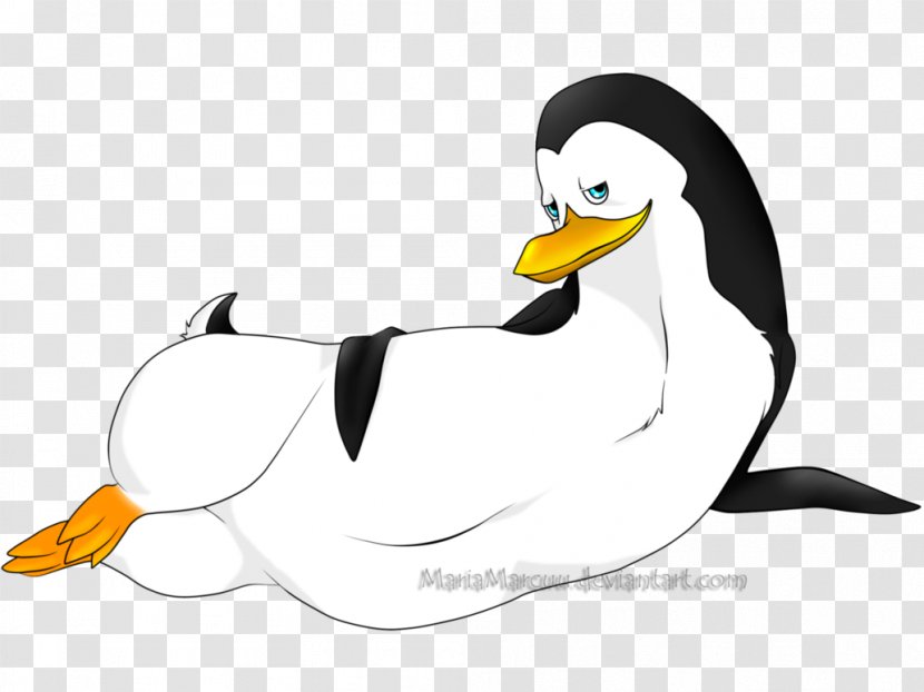 Duck Penguin Beak Cartoon Clip Art - Flightless Bird Transparent PNG