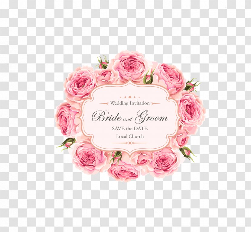 Wedding Invitation Rose Pink Euclidean Vector - Garden Roses - Beautiful Transparent PNG