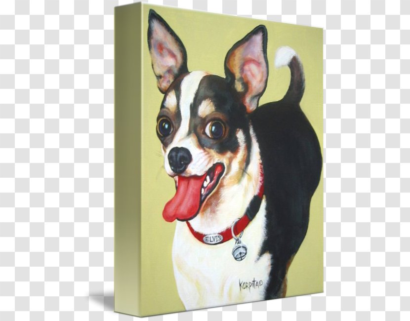 Chihuahua Puppy Dog Breed Companion Painting Transparent PNG